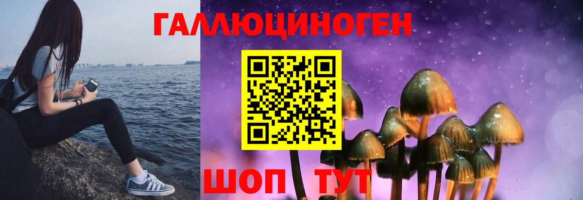 Гусь-Хрустальный  Галлюциногенные грибы Psilocybe  цена   Вход с VPN 